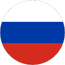 language icon